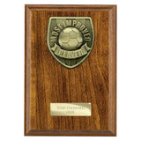 Cobra Plaque Most Improved Player Award - PN25107