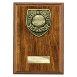 Cobra Plaque Managers Player Award - PN25109