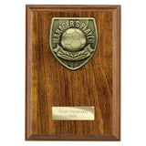Cobra Plaque Managers Player Award - PN25109