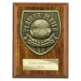 Cobra Plaque Players Player Award - PN25110