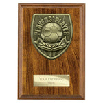 Cobra Plaque Players Player Award - PN25110