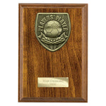 Cobra Plaque Players Player Award - PN25110