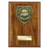 Cobra Plaque Players Player Award - PN25110