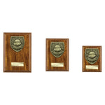 Cobra Plaque Players Player Award - PN25110