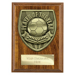 Cobra Plaque Player of Year Award - PN25111