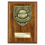 Cobra Plaque Player of Year Award - PN25111