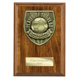 Cobra Plaque Player of Year Award - PN25111