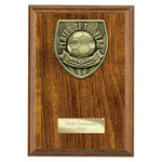 Cobra Plaque Player of Year Award - PN25111