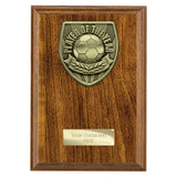 Cobra Plaque Player of Year Award - PN25111