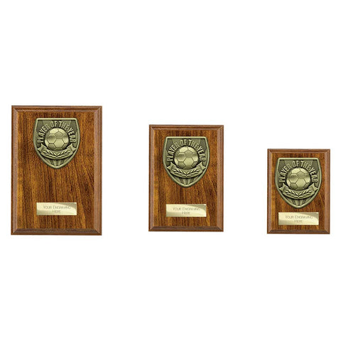 Cobra Plaque Player of Year Award - PN25111