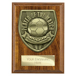 Cobra Plaque Player of Match Award - PN25113