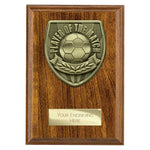 Cobra Plaque Player of Match Award - PN25113
