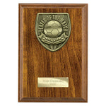 Cobra Plaque Player of Match Award - PN25113
