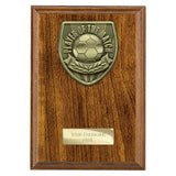 Cobra Plaque Player of Match Award - PN25113