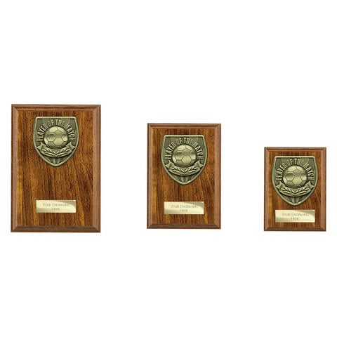 Cobra Plaque Player of Match Award - PN25113