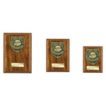 Cobra Plaque Top Scorer Award - PN25114