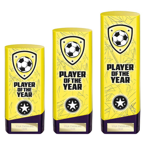 Prime Heavyweight Player of Year - Purple|Yellow - PQ25433