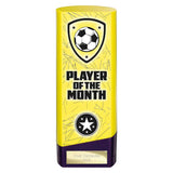 Prime Heavyweight Player of Month - Purple|Yellow - PQ25440