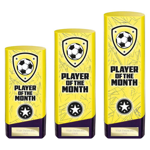 Prime Heavyweight Player of Month - Purple|Yellow - PQ25440