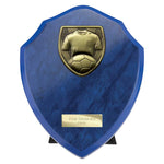 Cobra Shield Football Shirt & Ball Award - Blue - PS24206