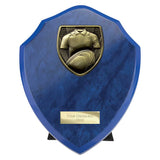 Cobra Shield Rugby Shirt & Ball Award -  PS24207