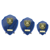 Cobra Shield Most Improved Player Award -  PS25107