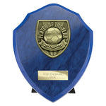 Cobra Shield Player of Year Award -  PS25111