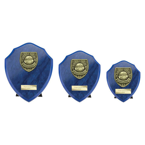 Cobra Shield Player of Year Award - Blue - PS25111