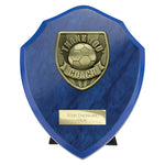 Cobra Shield Thank you Coach Award - Blue - PS25112