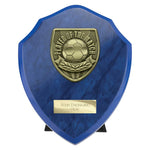 Cobra Shield Player of Match Award - Blue - PS25113