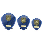 Cobra Shield Player of Match Award - Blue - PS25113