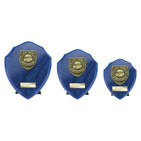 Cobra Shield Player of Match Award - Blue - PS25113