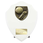 Cobra Shield Football Boot & Ball Award - White - PT24195