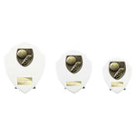 Cobra Shield Football Boot & Ball Award - White - PT24195