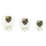 Cobra Shield Football Boot & Ball Award - White - PT24195