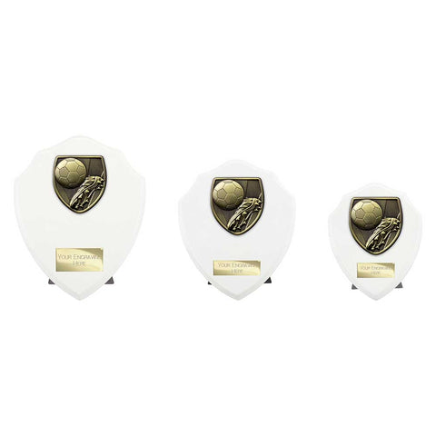 Cobra Shield Football Boot & Ball Award - White - PT24195