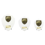 Cobra Shield Football Goal Keeper Award - White - PT24202
