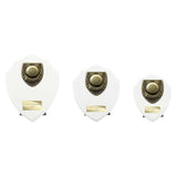 Cobra Shield Pool Award - White - PT24204