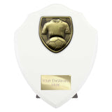 Cobra Shield Football Shirt & Ball Award - White - PT24206