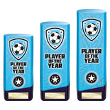 Prime Heavyweight Player of Year - Blue|Purple - PV25433