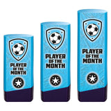 Prime Heavyweight Player of Month - Blue|Purple - PV25440