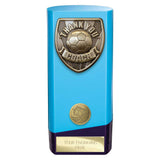Prime Cobra Thank you Coach Award - PX25112