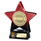 Superstar Winner Award - PX25166