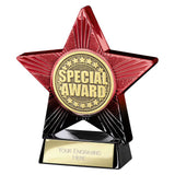 Superstar Special Award - PX25169