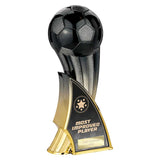 Firestorm Heavyweight Most Improved - Black|Gold - PX25379