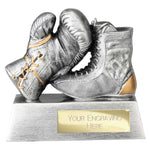 Power Boxing Resin Award Antique Silver -  RF25135