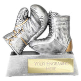 Power Boxing Resin Award Antique Silver -  RF25135