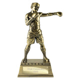 The Classic Boxing Award - RF26046