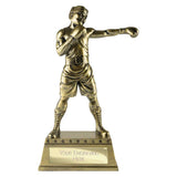 The Classic Boxing Award - RF26046