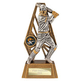 Immense Cricket Batsman Award - RF26066